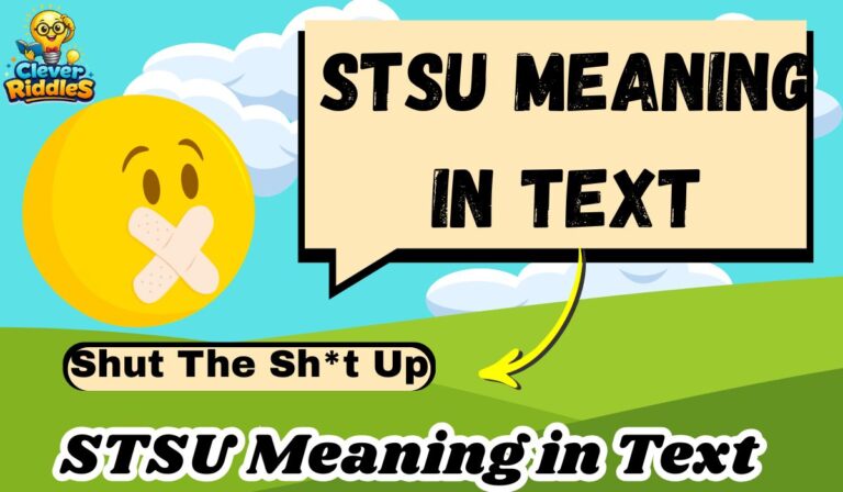 STSU Meaning in Text: Shocking Slang Explained Clearly for Beginners (2026)
