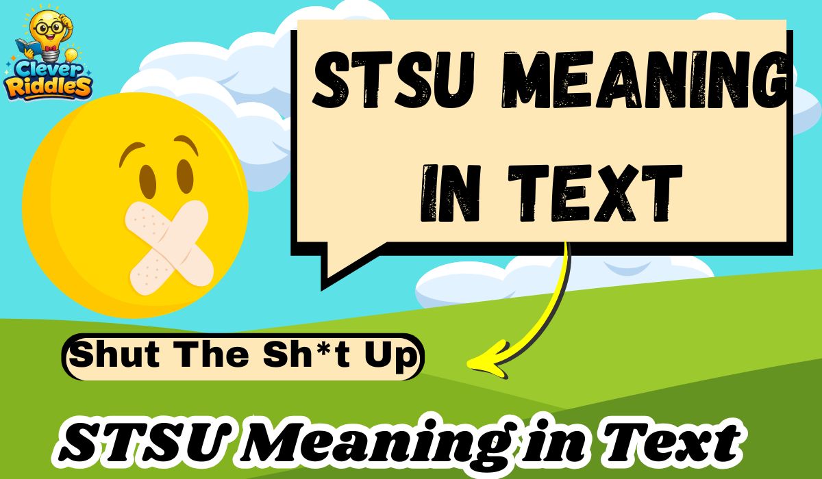 STSU Meaning in Text: Shocking Slang Explained Clearly for Beginners (2026)