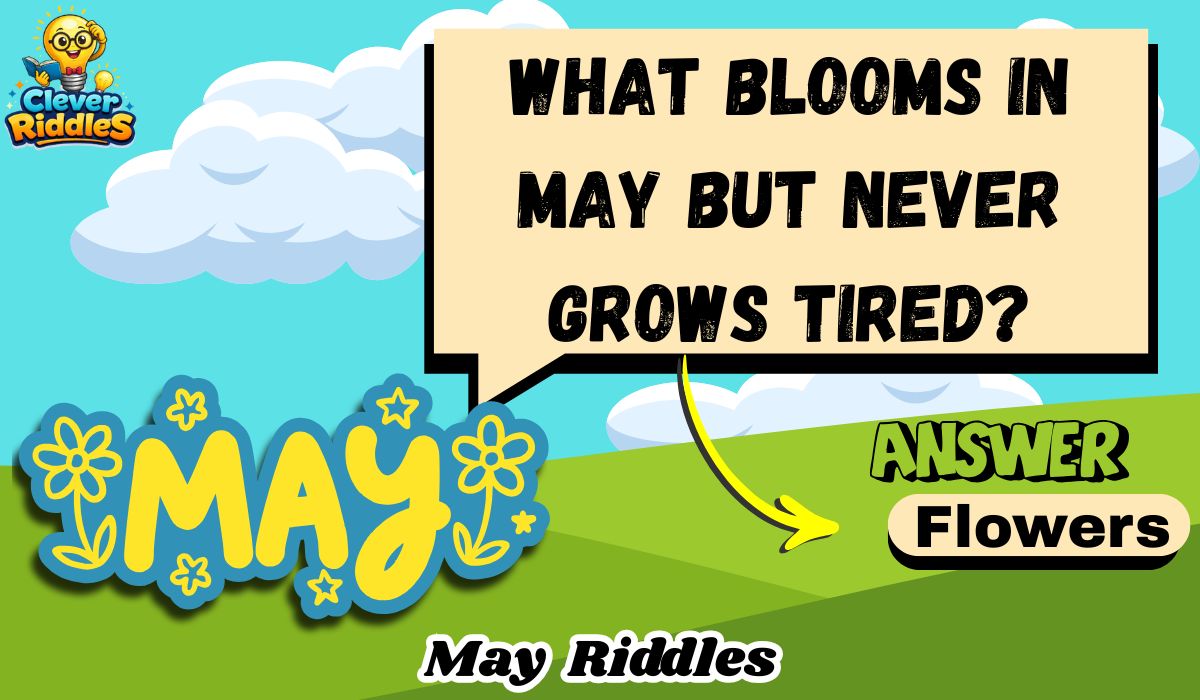 215+ May Riddles Cozy Clever Brain Teasers for Love 2026