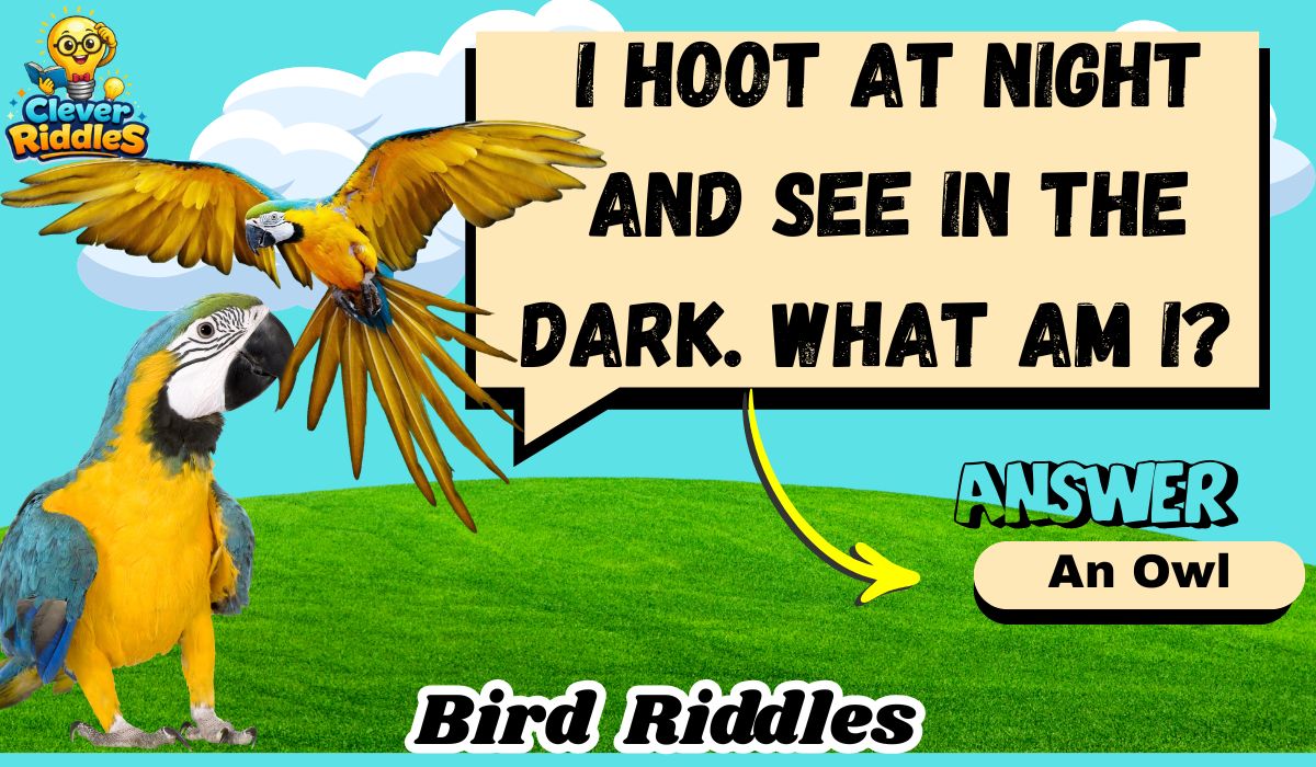 300+ Best Bird Riddles With Answers for Kids & Adults (Funny, Tricky & Clever) – 2026