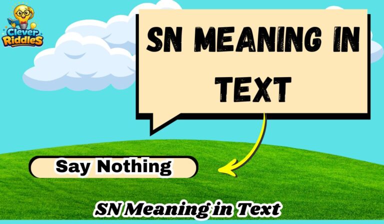 SN Meaning in Text: What It Means on Snapchat, TikTok & Chats (2026 Guide)