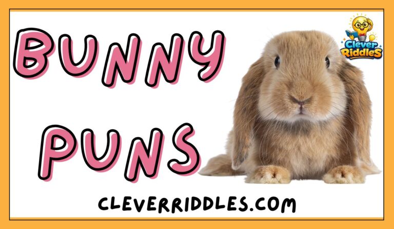 Cute bunny puns and funny sayings