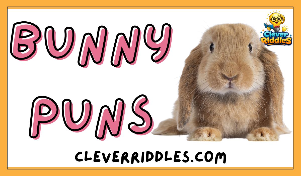 Cute bunny puns and funny sayings