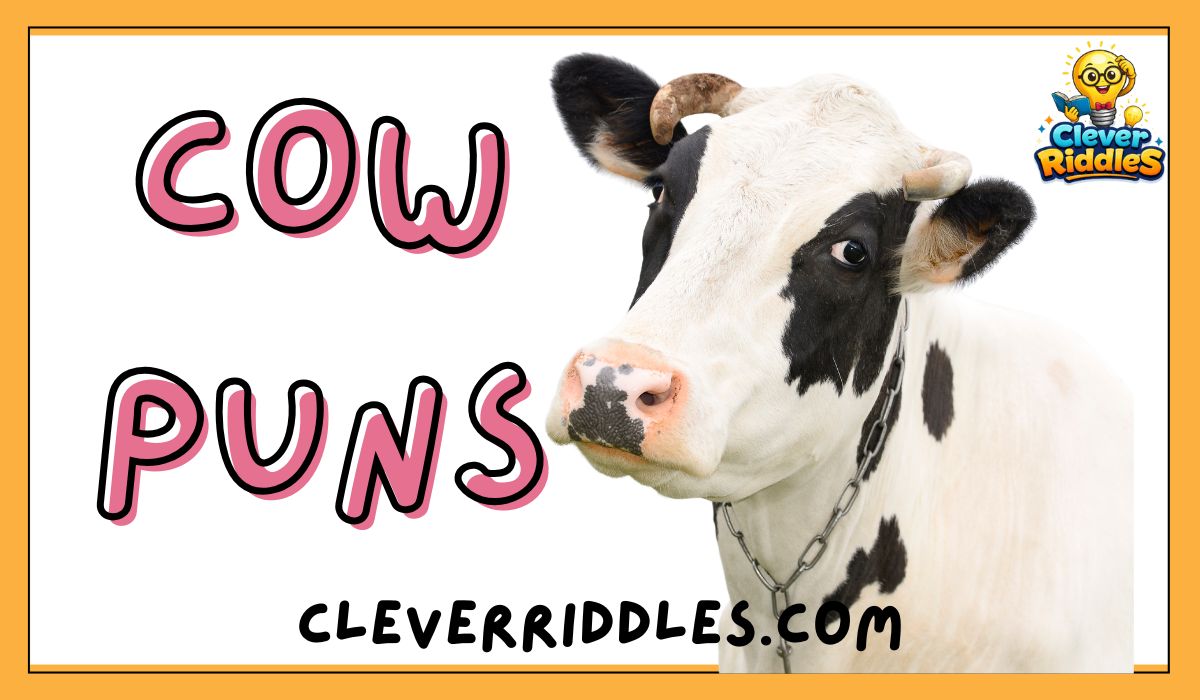 Funny cow puns collection udderly hilarious wordplay