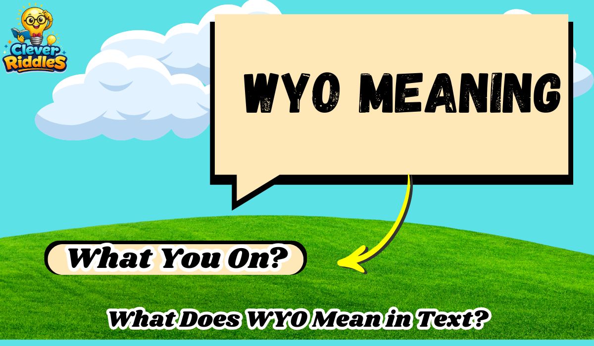 WYO Meaning: What Does WYO Mean in Text? (2026 Guide)